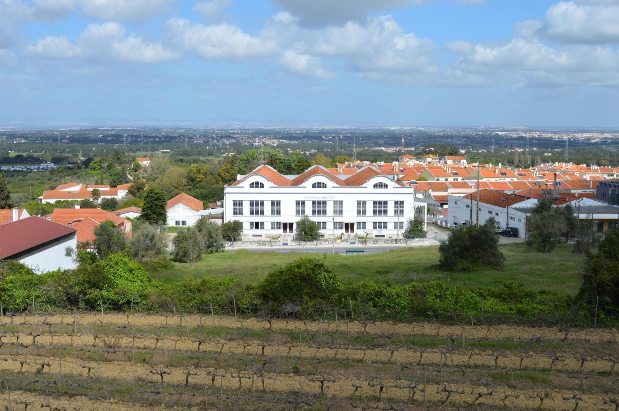 Quinta Do Piloto Guest House Palmela Exterior foto